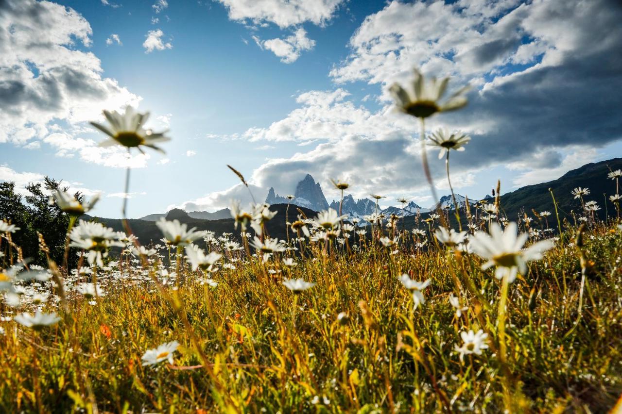 Chalten Camp - Glamping With A View El Chaltén Extérieur photo